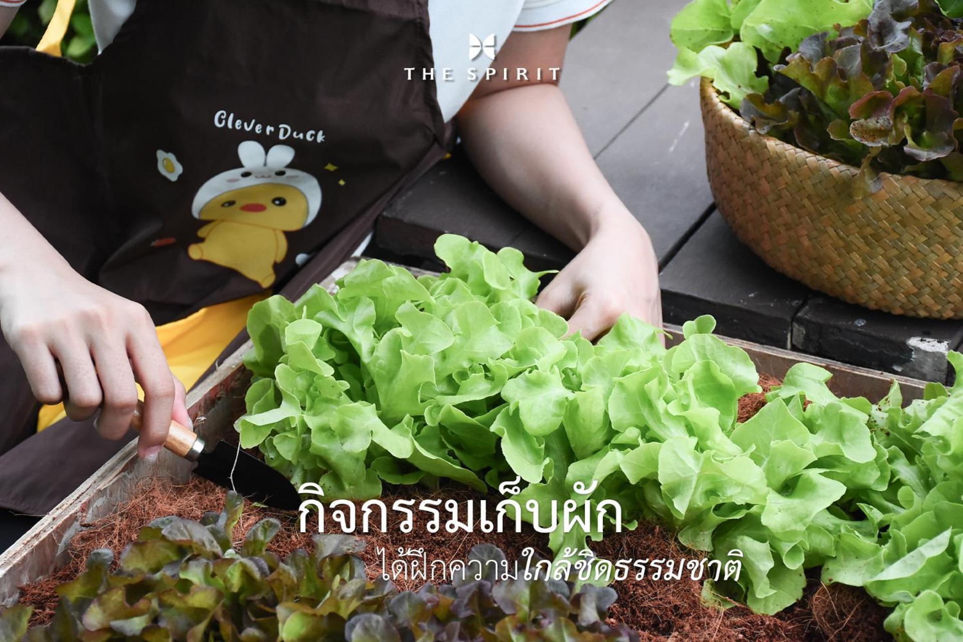 The Spirit Resort Hua Hin Khao Tao Extérieur photo
